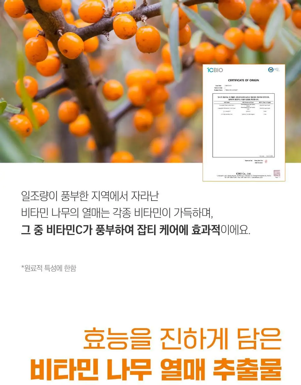 [미백/잡티] 라운드랩 비타 나이아신 잡티크림 50ml 상세페이지 7
